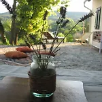 Dom wakacyjny Henye Homes Balatonhenye