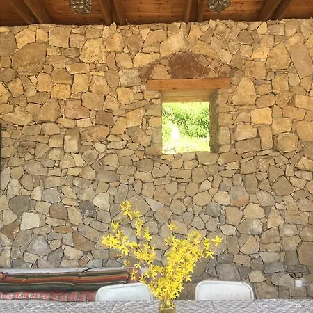 Nyaraló Henye Homes *