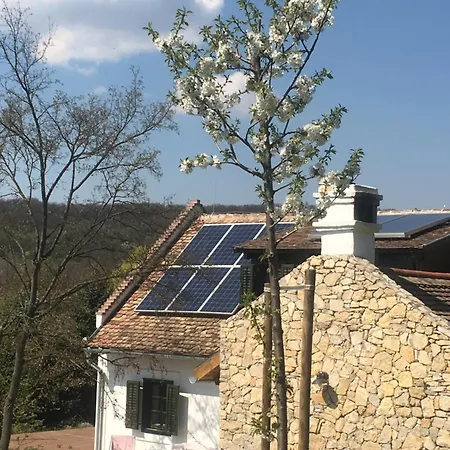 Henye Homes Σπίτι διακοπών Balatonhenye