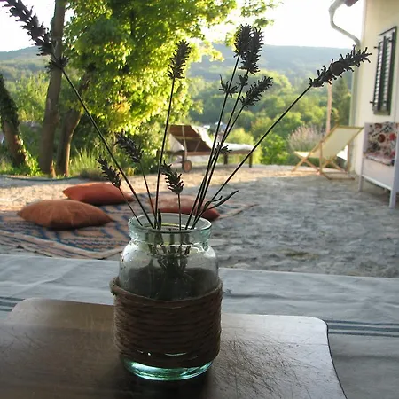 Holiday home Henye Homes Balatonhenye